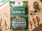 Bao Bì Giá Thể Trông Cây