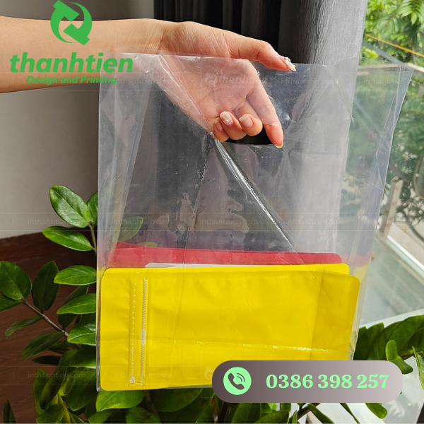 tui-hot-xoai-tron-suot-dung-do-vat