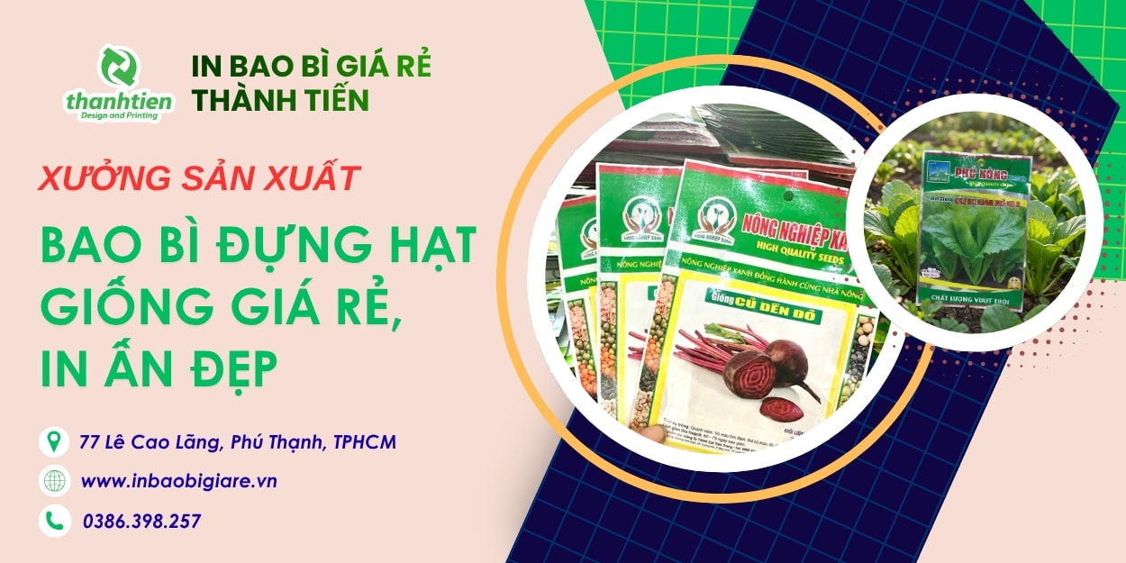 bao-bi-dung-hat-giong-gia-re-in-an-dep