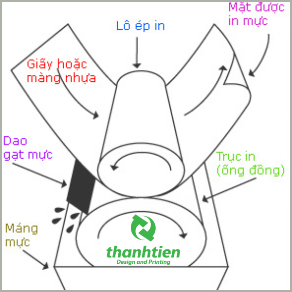 cau-tao-may-in-ong-dong