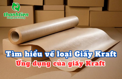 Giấy Kraft là gì? Ứng dụng của giấy Kraft