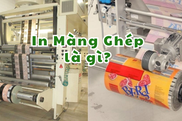 in-mang-ghep-la-gi
